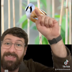 Elementary alum Tom Myers @birdoftheweek